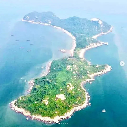 你絕對可以令香港靚好多~