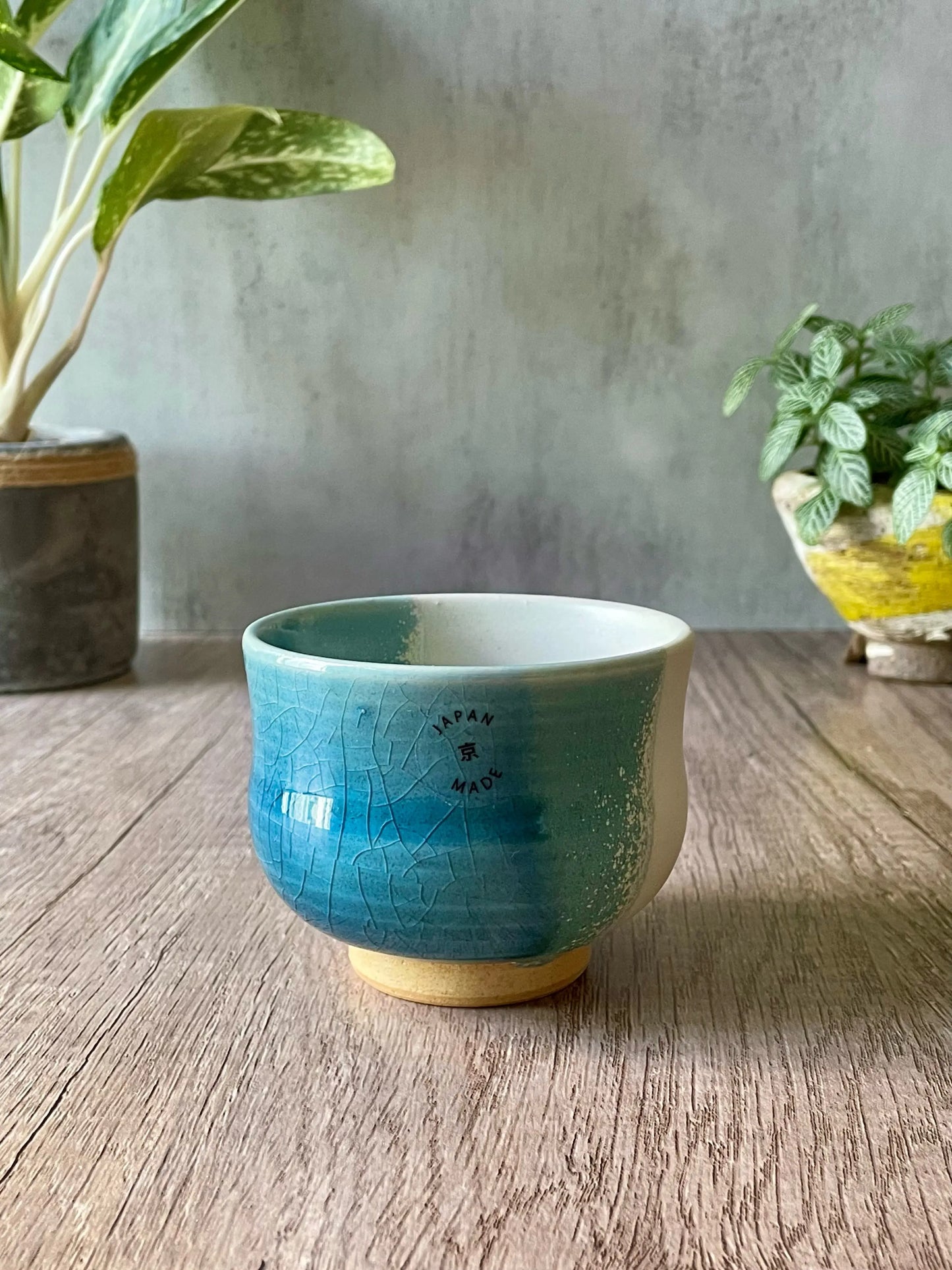 Kyo-yaki Tea Cup Japan