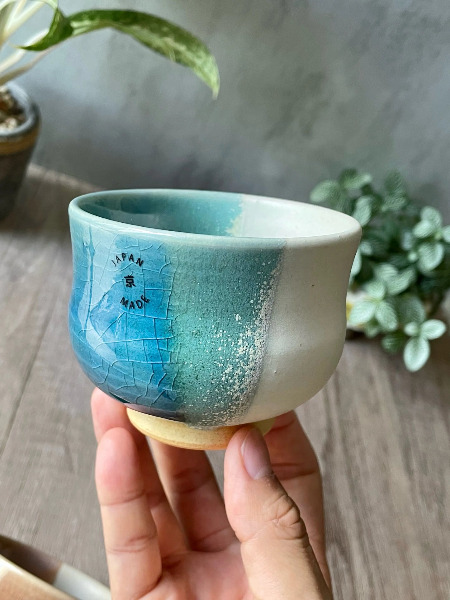 Kyo-yaki Tea Cup Japan