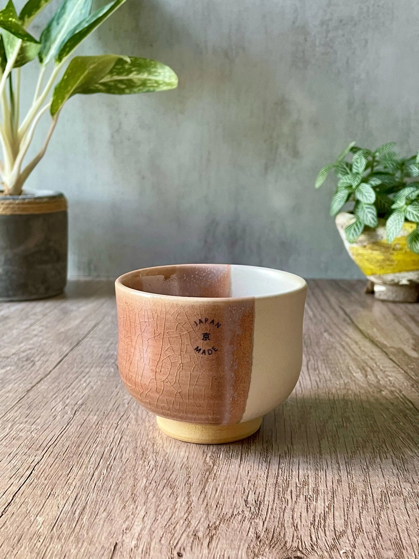 Kyo-yaki Tea Cup Japan