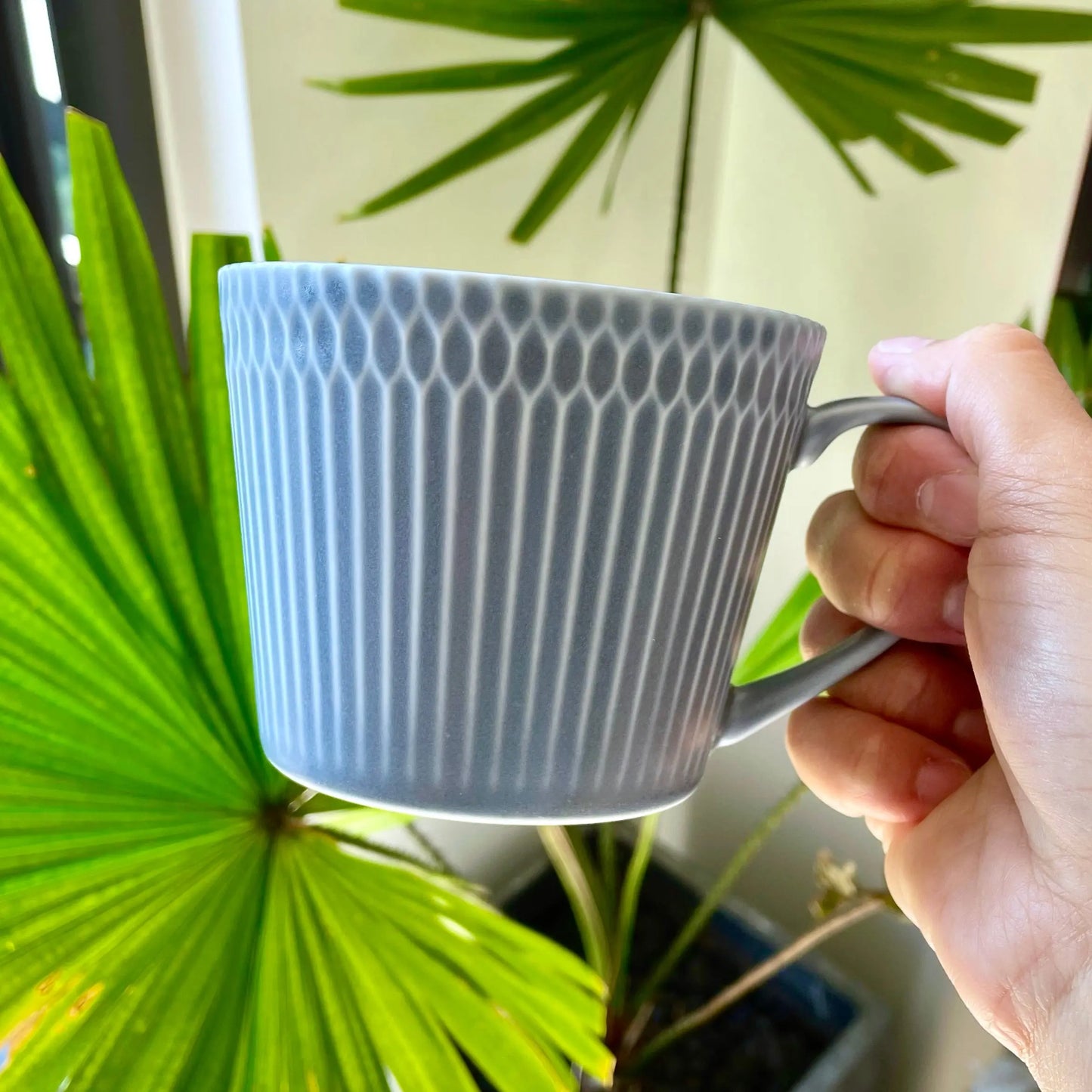 小田陶器 Mug (Gray Blue) Super Delivery - Cierto