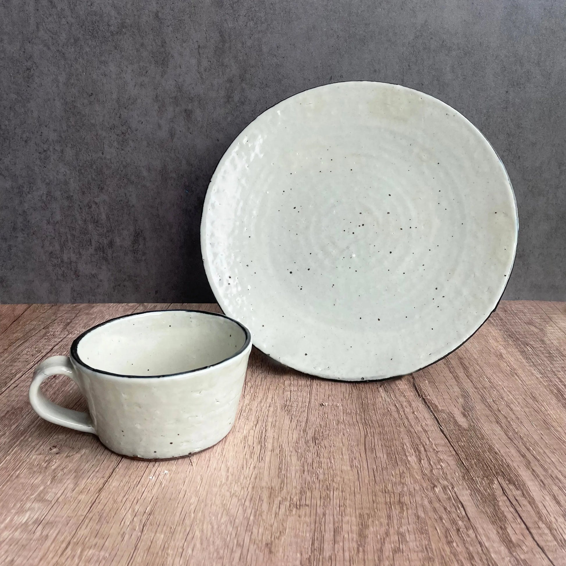 Ceramic Rim Flat Plate Super Delivery - SHISEIHANBAI