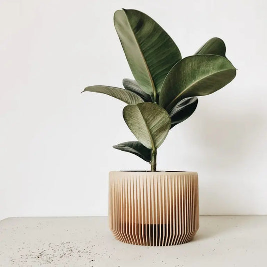 Indoor Planter PRAHA ETSY - minimum design