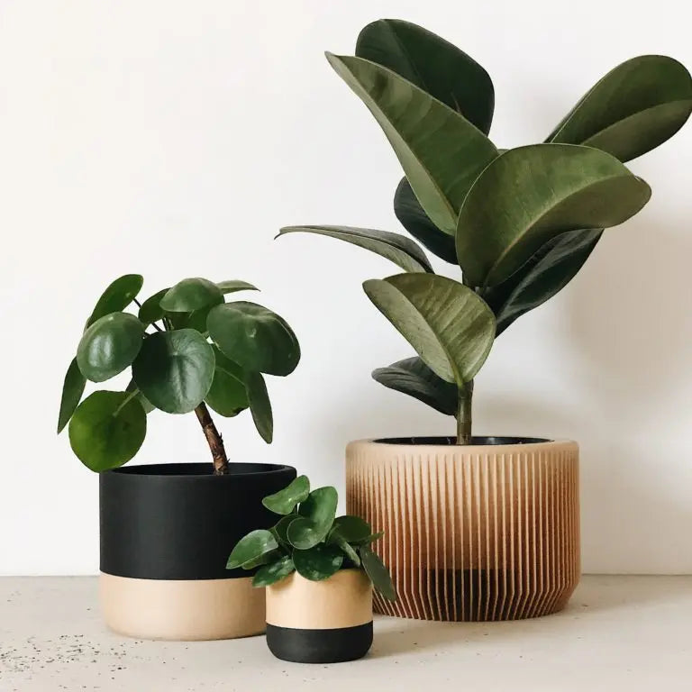 Indoor Planter PRAHA ETSY - minimum design