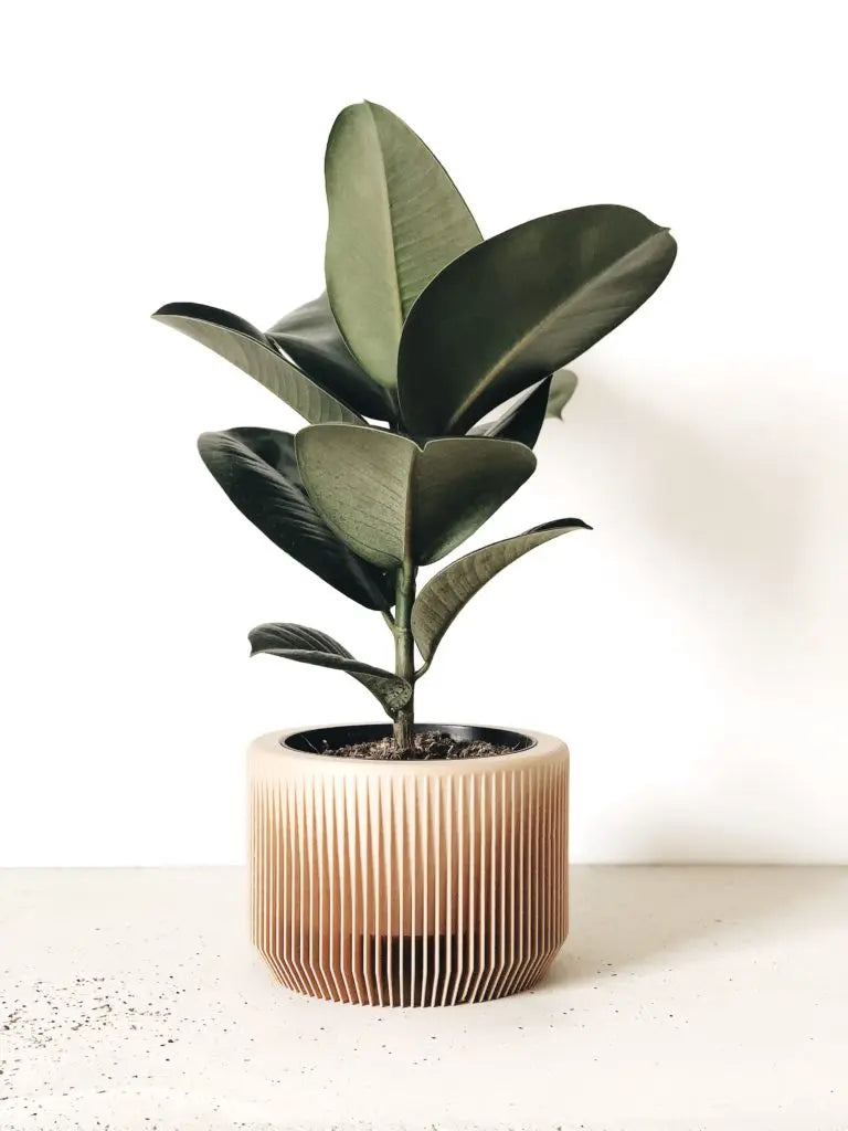 Indoor Planter PRAHA ETSY - minimum design